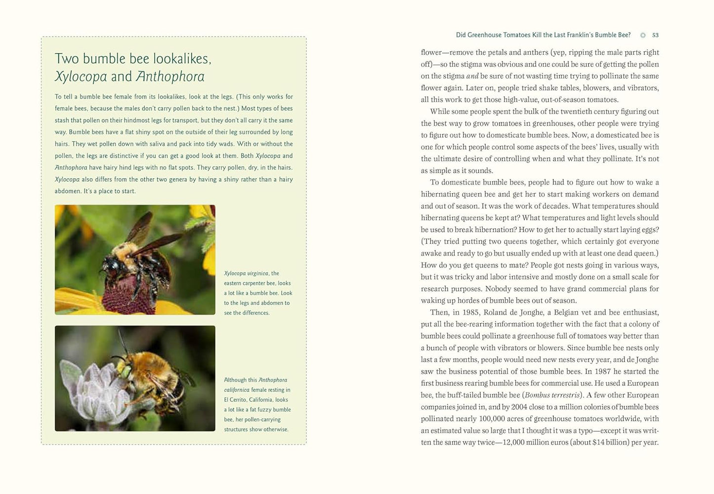 Our Native Bees: North America's Endangered Pollinators and the Fight to Save Them by Paige Embry