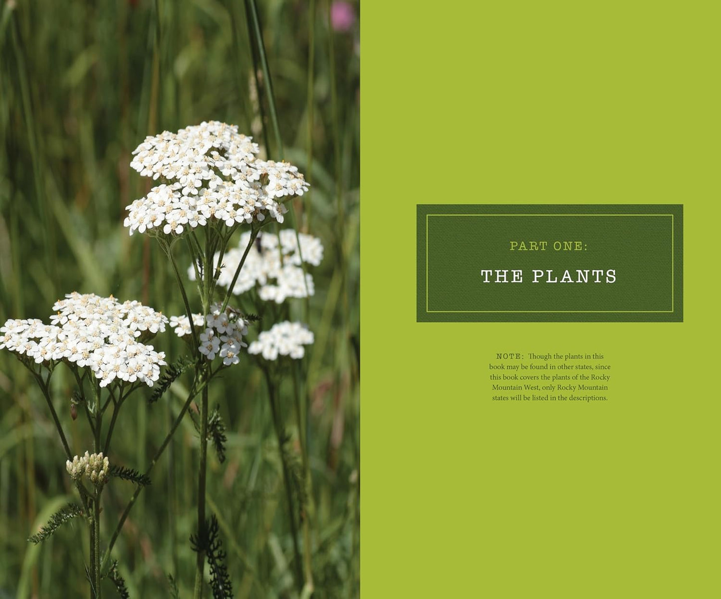 437 Edible Wild Plants of the Rocky Mountain West: Berries, Roots, Nuts, Greens, Flowers, and Seeds by Caleb Warnock