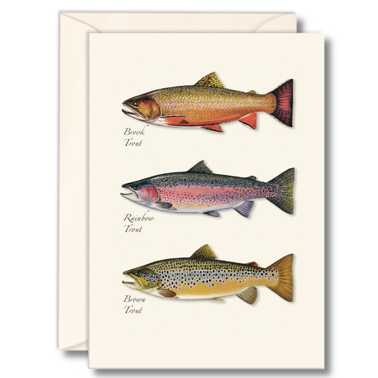 Trout Trio Notecard Set