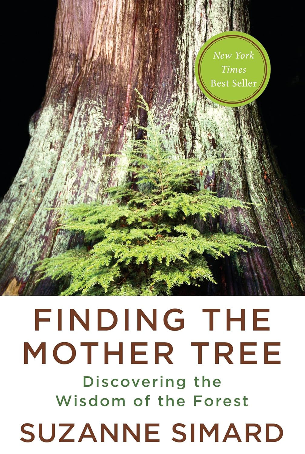 Finding the Mother Tree: Discovering the Wisdom of the Forest by Suzanne Simard