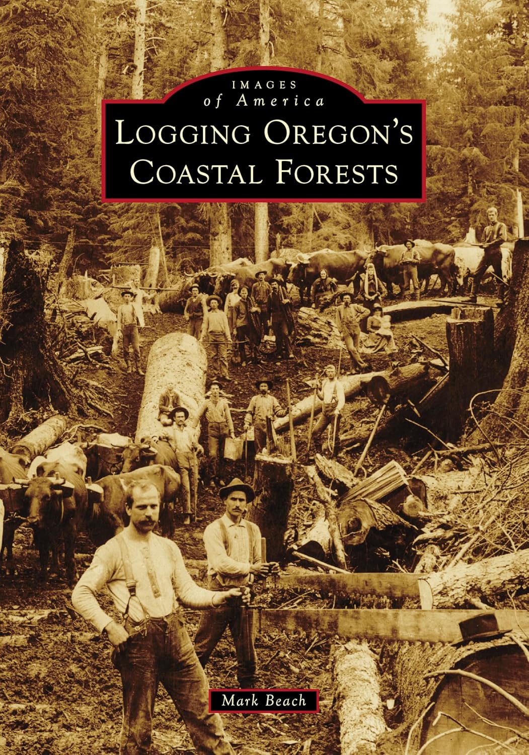 Logging Oregon's Coastal Forests by Mark Beach