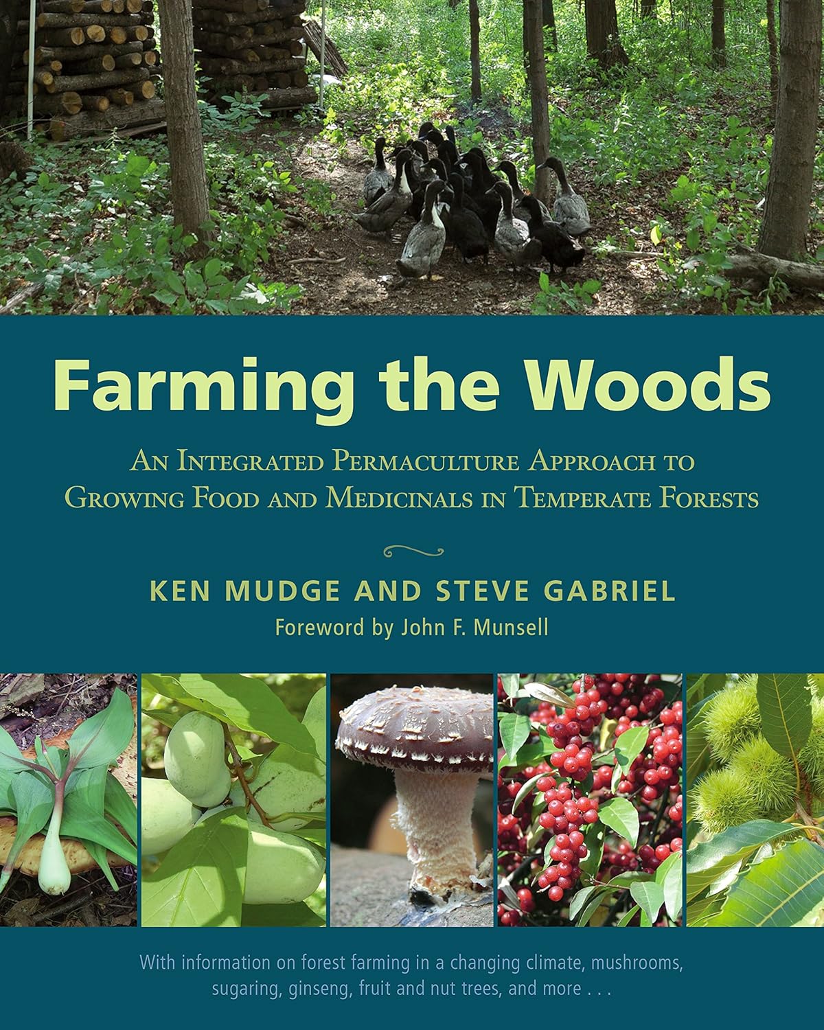 Farming the Woods: An Integrated Permaculture Approach to Growing Food and Medicinals in Temperate Forests by Ken Mudge & Steve Gabriel