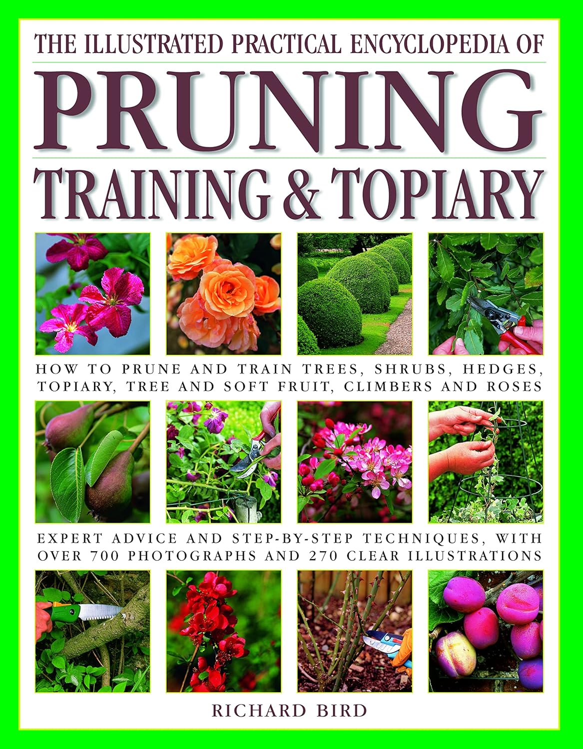 Illustrated Practical Encyclopedia of Pruning, Training and Topiary: How to Prune and Train Trees, Shrubs, Hedges, Topiary, Tree and Soft Fruit, Climb by Richard Bird