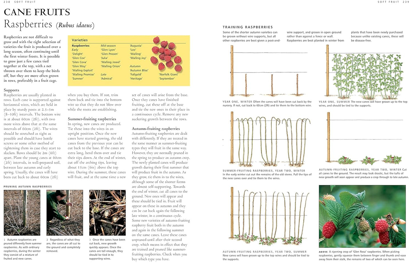 Illustrated Practical Encyclopedia of Pruning, Training and Topiary: How to Prune and Train Trees, Shrubs, Hedges, Topiary, Tree and Soft Fruit, Climb by Richard Bird