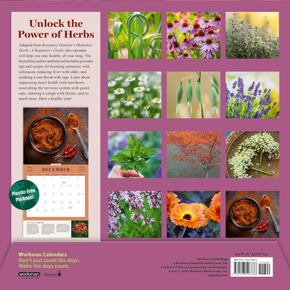 Rosemary Gladstar's Herbs for Healing Wall Calendar 2025: Remedies and Recipes for a Year of Holistic Self-Care