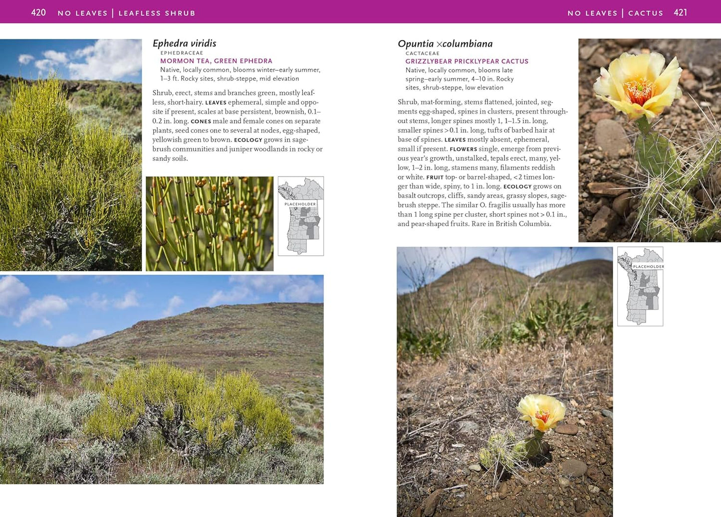 Trees and Shrubs of the Pacific Northwest by Mark Turner, Ellen Kuhlmann