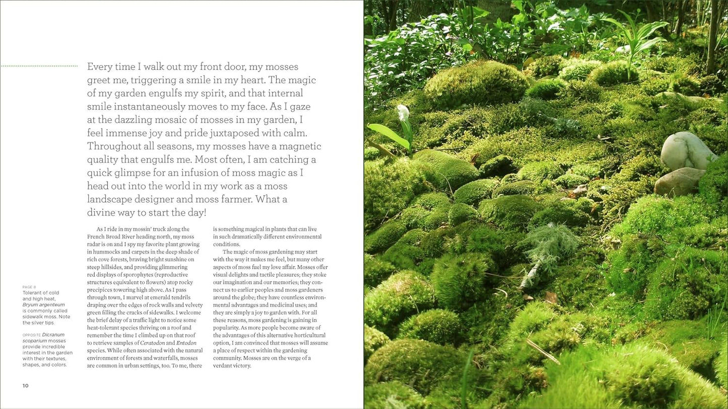 The Magical World of Moss Gardening by Annie Martin