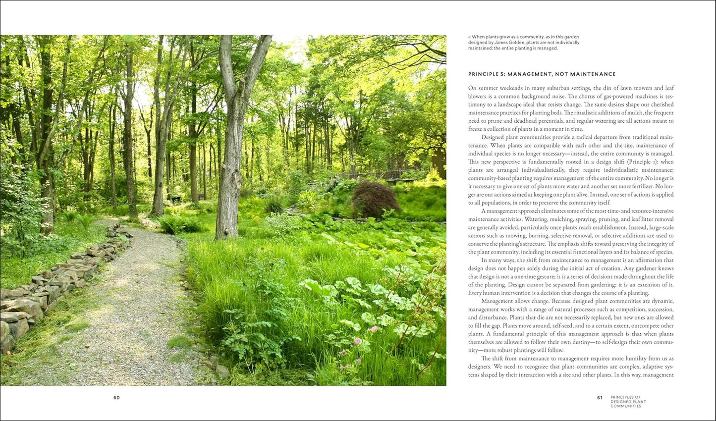 Planting in a Post-Wild World: Designing Plant Communities for Resilient Landscapes by Thomas Rainer, Claudia West