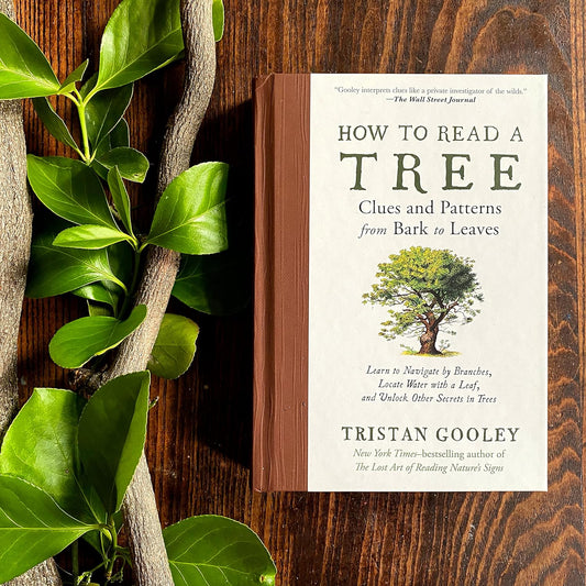 How to Read a Tree: Clues and Patterns from Bark to Leaves by Tristan Gooley