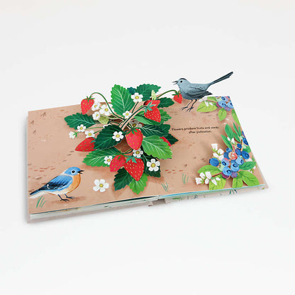 Flora: A Botanical Pop-Up Book by Yoojin Kim, Nicole Yen, Kathryn Selbert