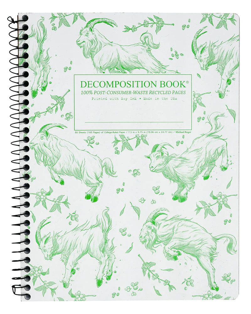 Decomposition Notebook- Standard Size Spiral