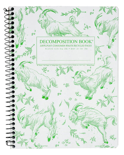 Decomposition Notebook- Standard Size Spiral