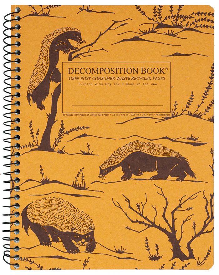 Decomposition Notebook- Standard Size Spiral