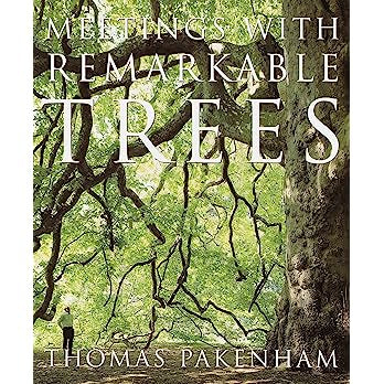 Meetings with Remarkable Trees