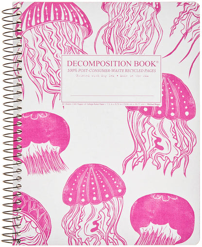 Decomposition Notebook- Standard Size Spiral