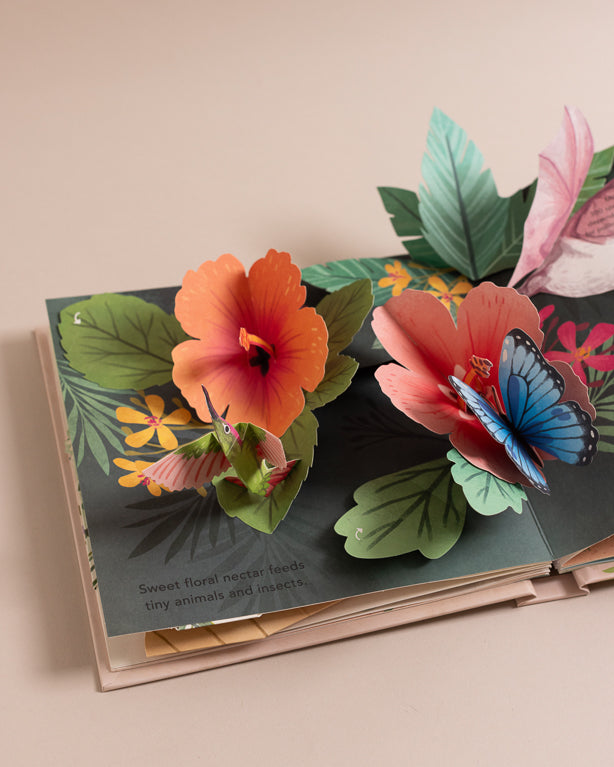 Flora: A Botanical Pop-Up Book by Yoojin Kim, Nicole Yen, Kathryn Selbert