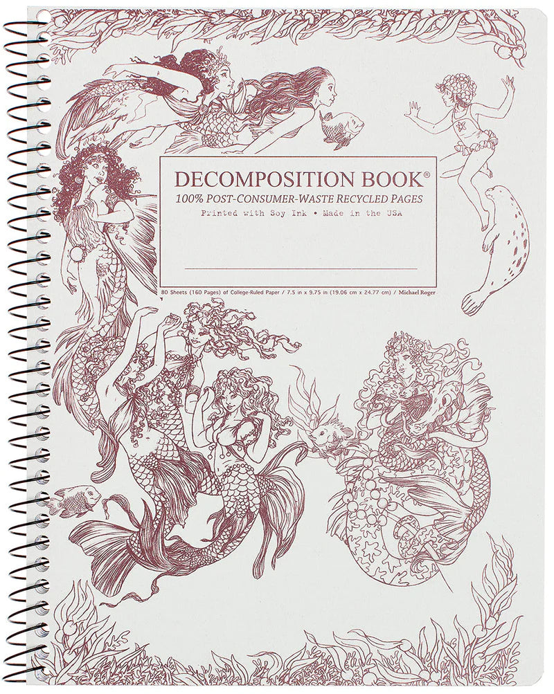 Decomposition Notebook- Standard Size Spiral