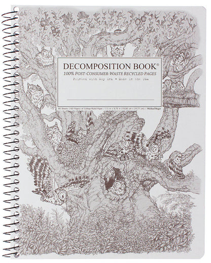 Decomposition Notebook- Standard Size Spiral