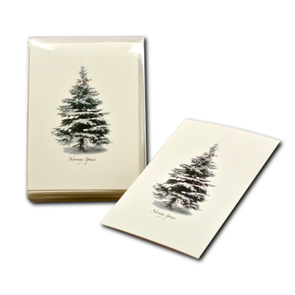 Winter Spruce Notecard Set