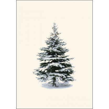 Winter Spruce Notecard Set