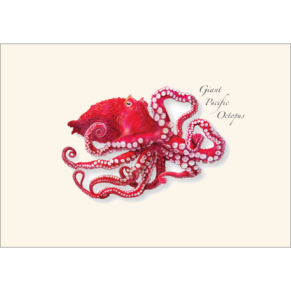 Giant Pacific Octopus Notecard Set