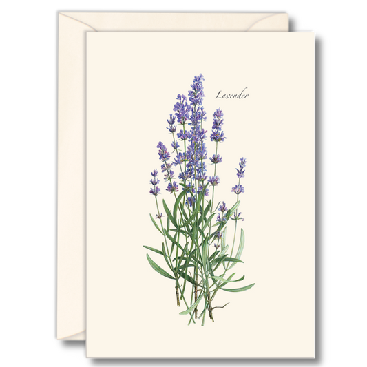 Lavender Notecard Set