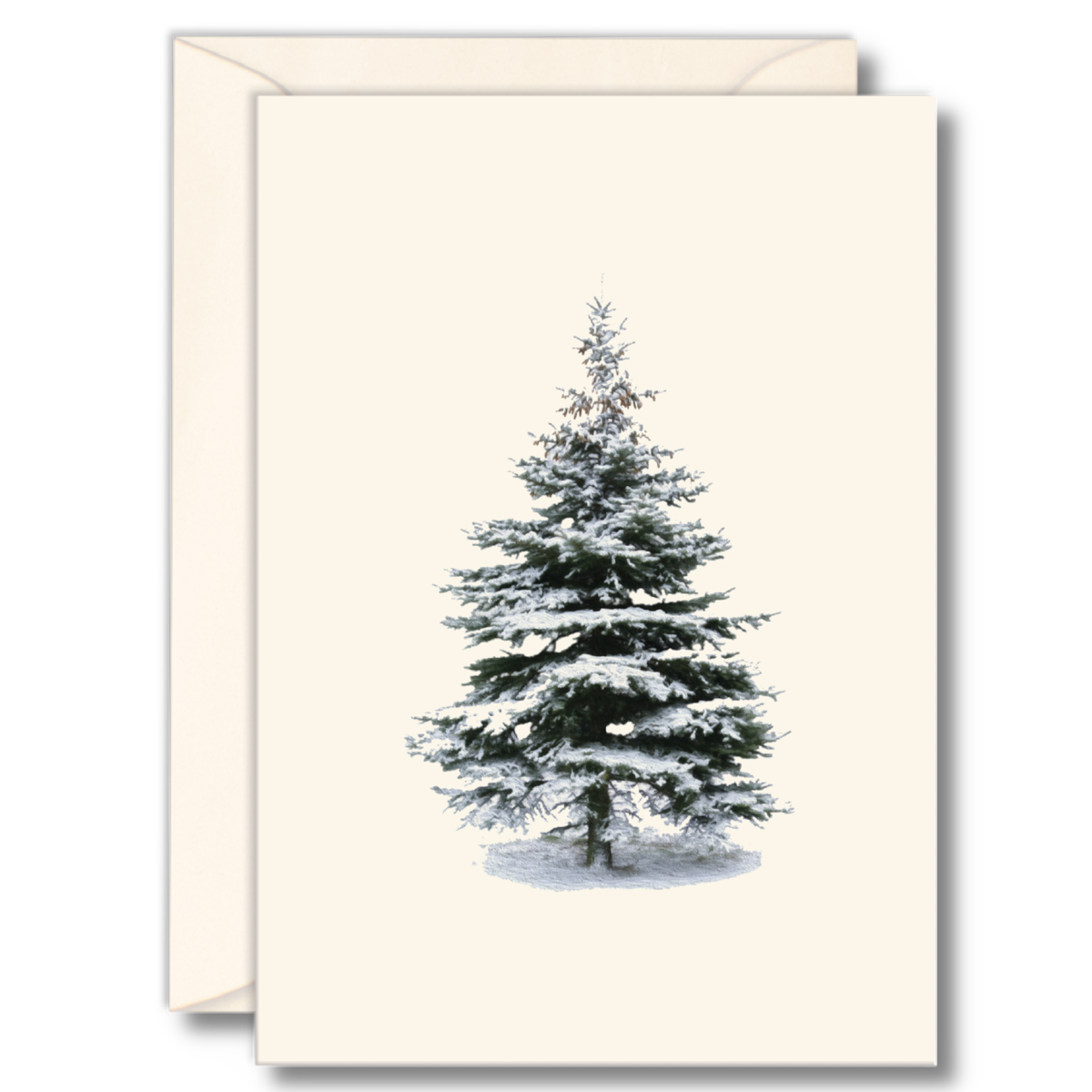 Winter Spruce Notecard Set