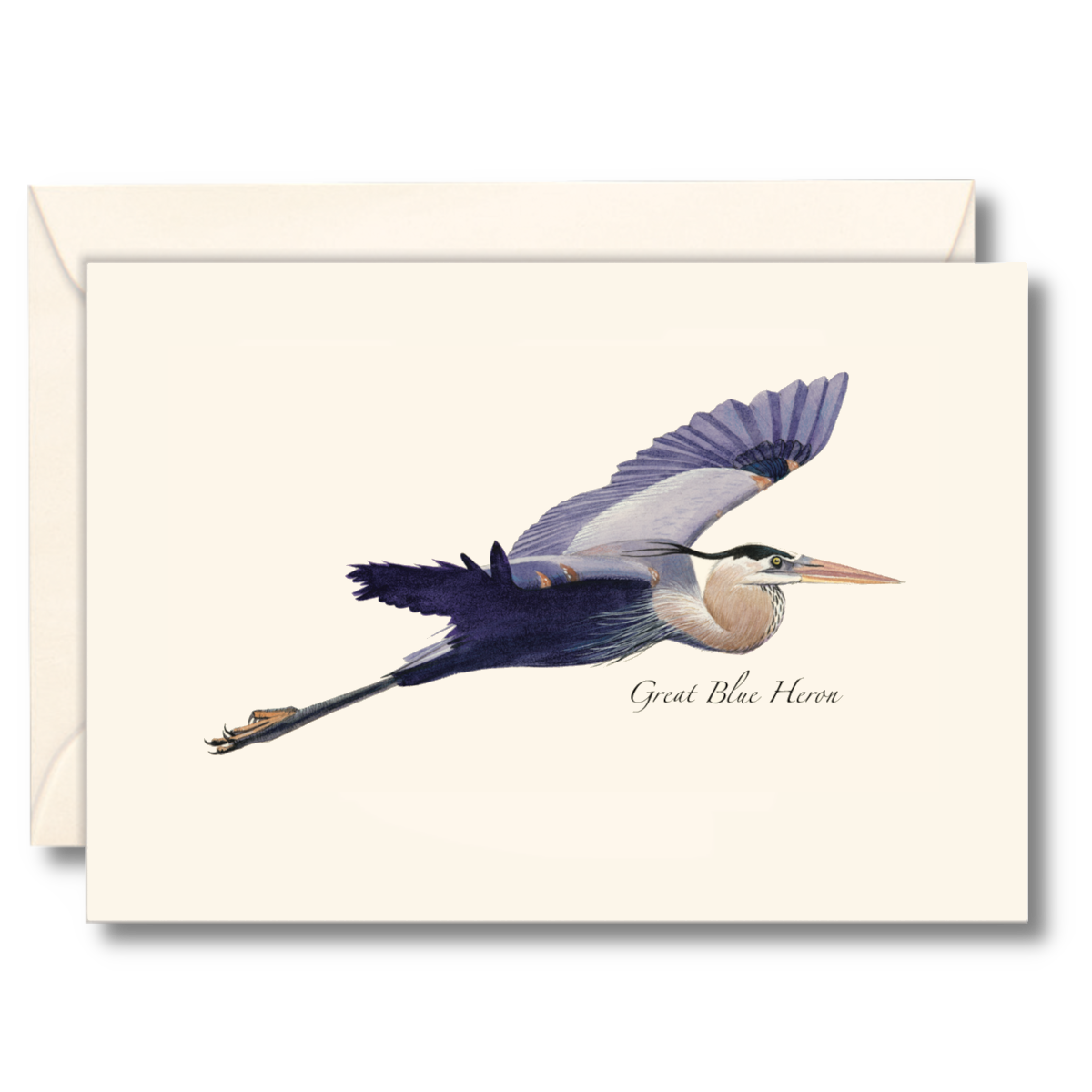 Great Blue Heron in Flight Notecard Set