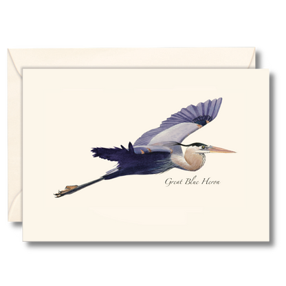 Great Blue Heron in Flight Notecard Set