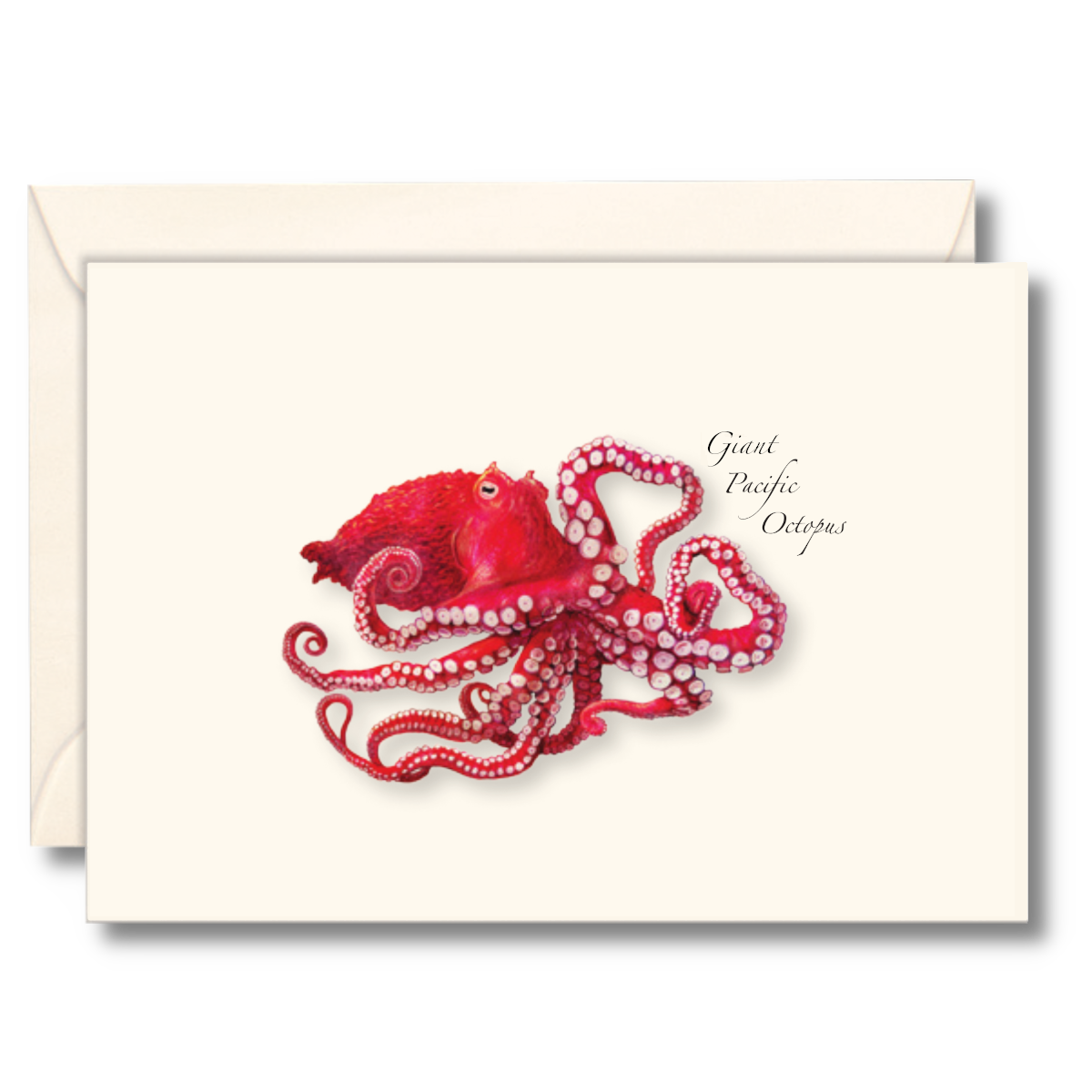 Giant Pacific Octopus Notecard Set