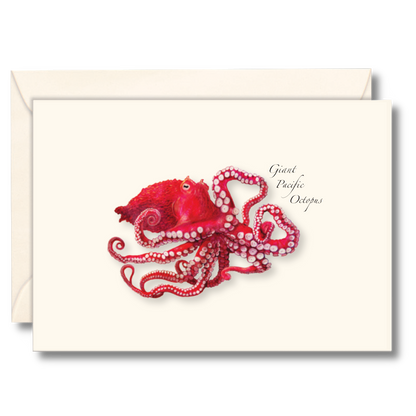 Giant Pacific Octopus Notecard Set