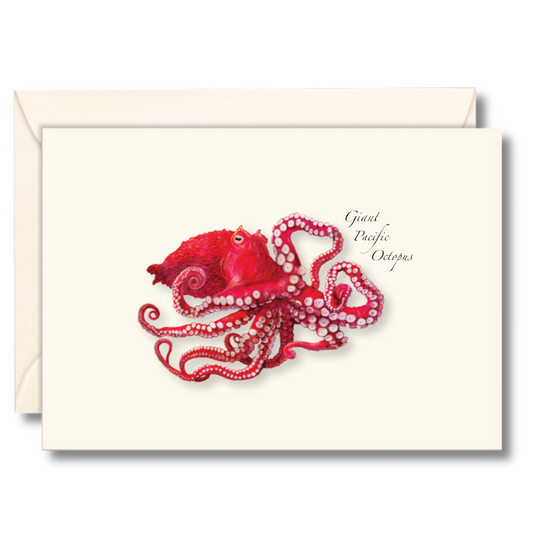 Giant Pacific Octopus Notecard Set