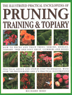 Illustrated Practical Encyclopedia of Pruning, Training and Topiary: How to Prune and Train Trees, Shrubs, Hedges, Topiary, Tree and Soft Fruit, Climb Contributor(s): Bird, Richard (Author)