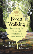 Forest Walking:  Discovering the Trees and Woodlands of North America