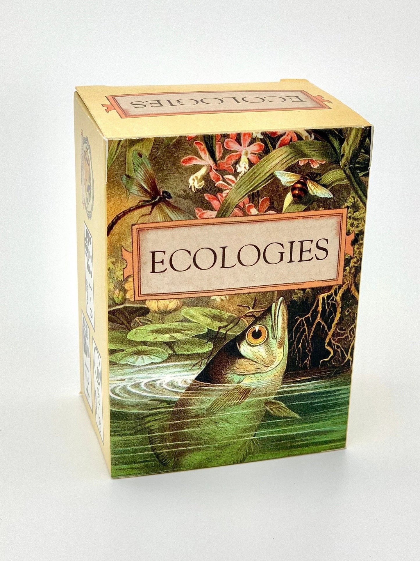 Ecologies Card Game