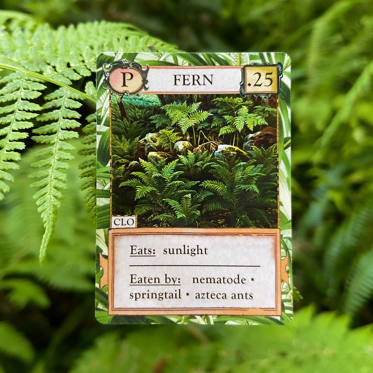 Ecologies: Hidden Habitats Card Game