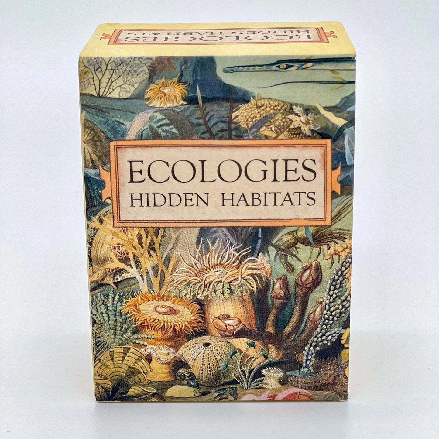 Ecologies: Hidden Habitats Card Game