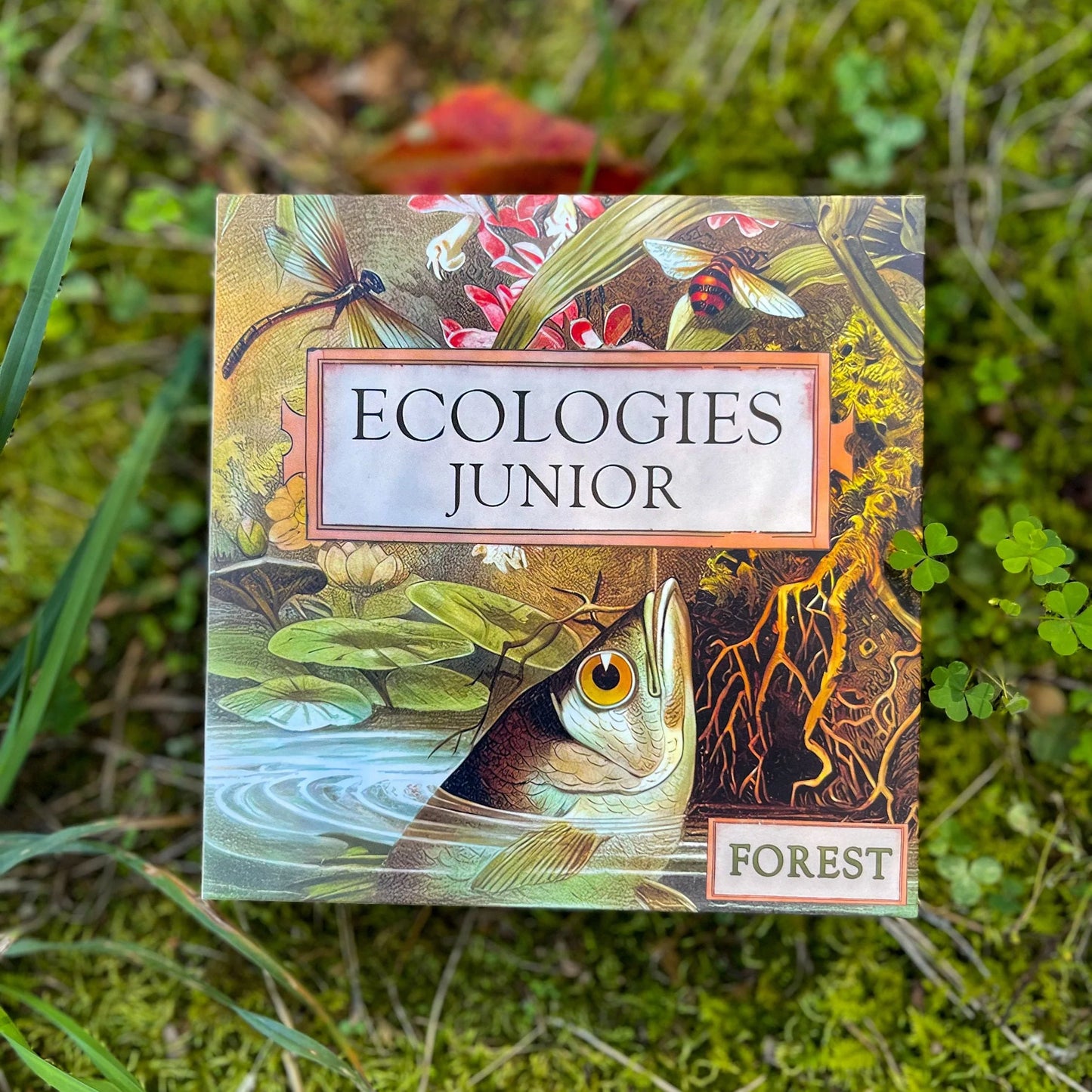 Ecologies Junior: Forest Game