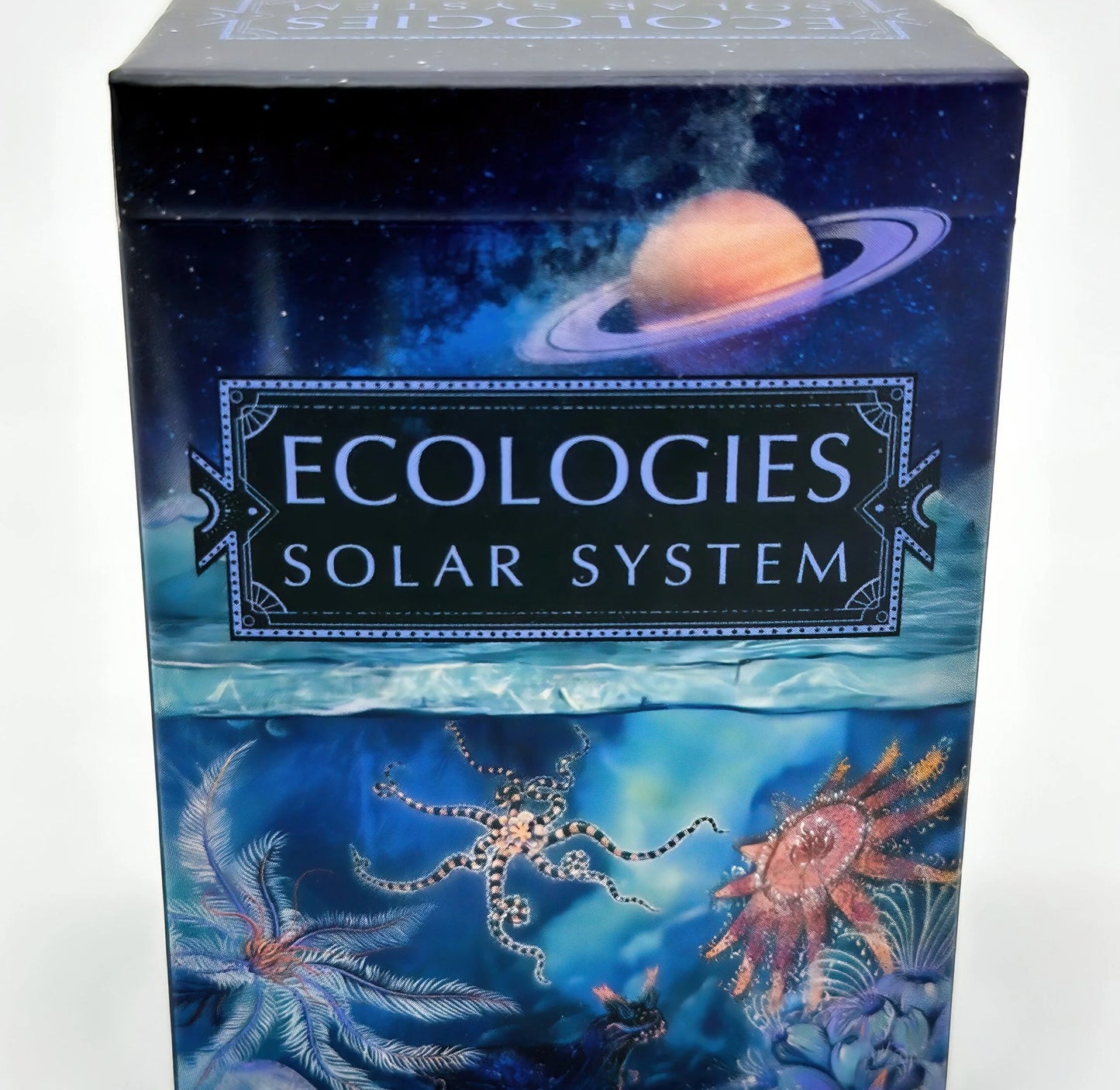 Ecologies: Solar System Game