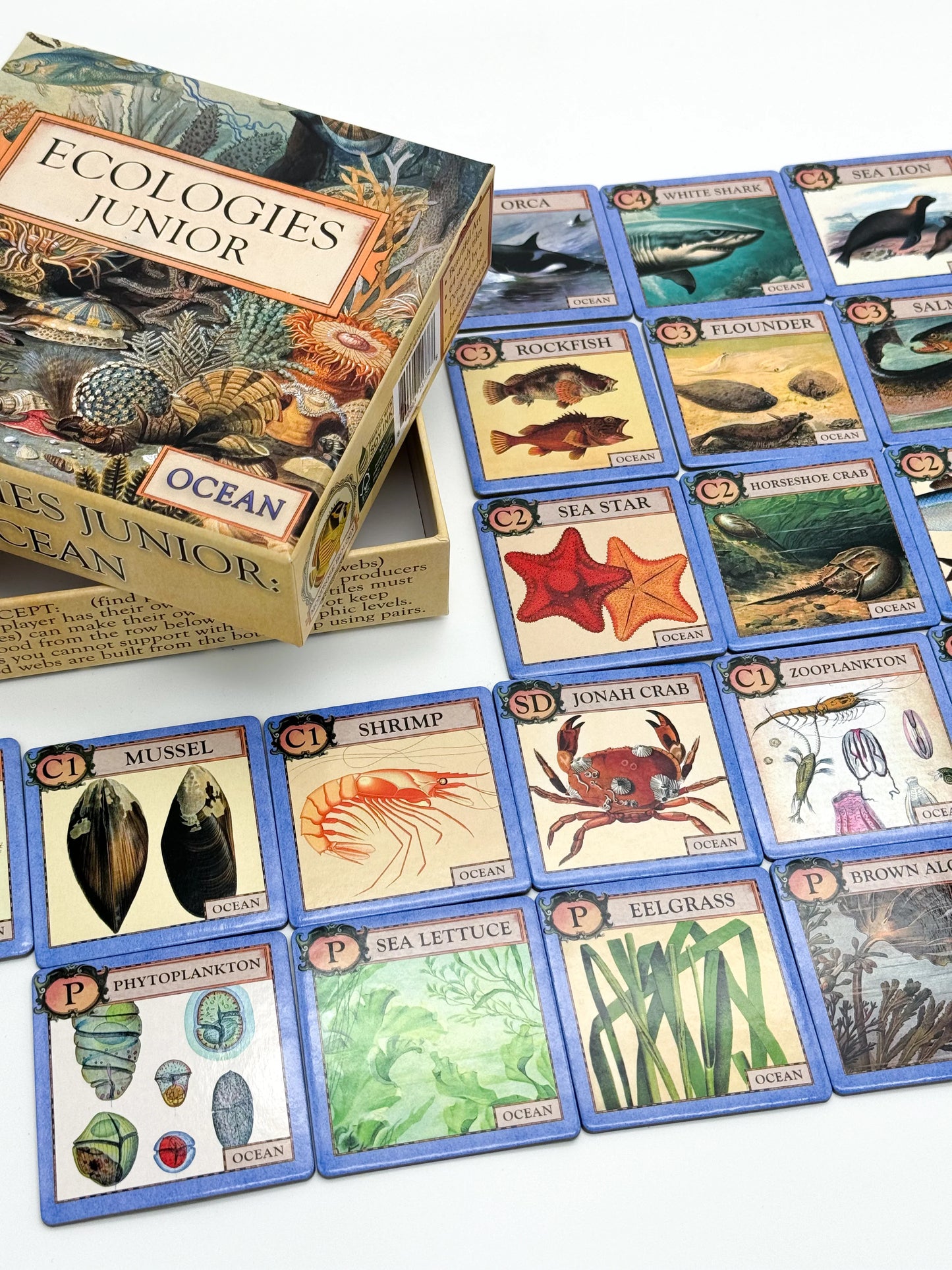 Ecologies Junior: Ocean Game